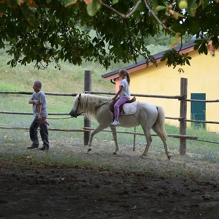 Agriturismo Donnalivia Bauernhof