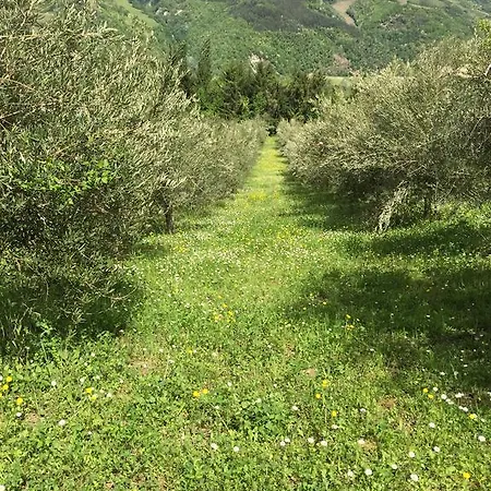 Agriturismo Donnalivia