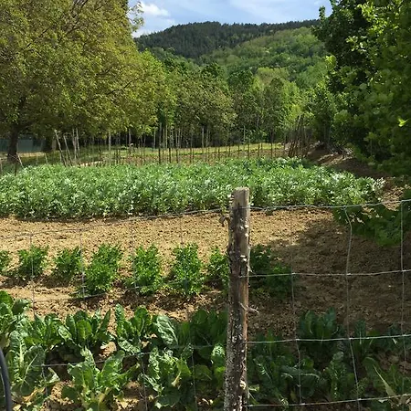 Agriturismo Donnalivia