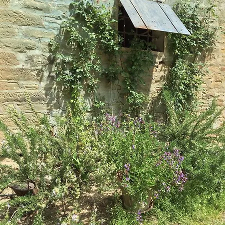 Bauernhof Agriturismo Donnalivia Brisighella